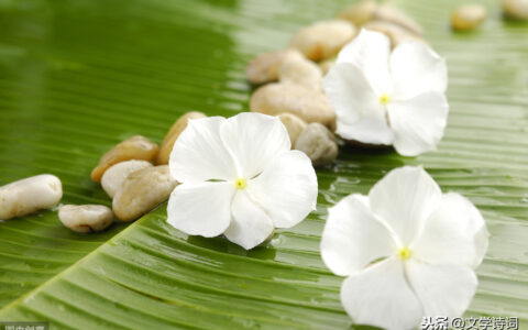 山村古诗原文及解释（关于山村的原创古诗词）