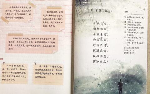 江上渔者的意思及诗意（江上渔者古诗注释和译文）