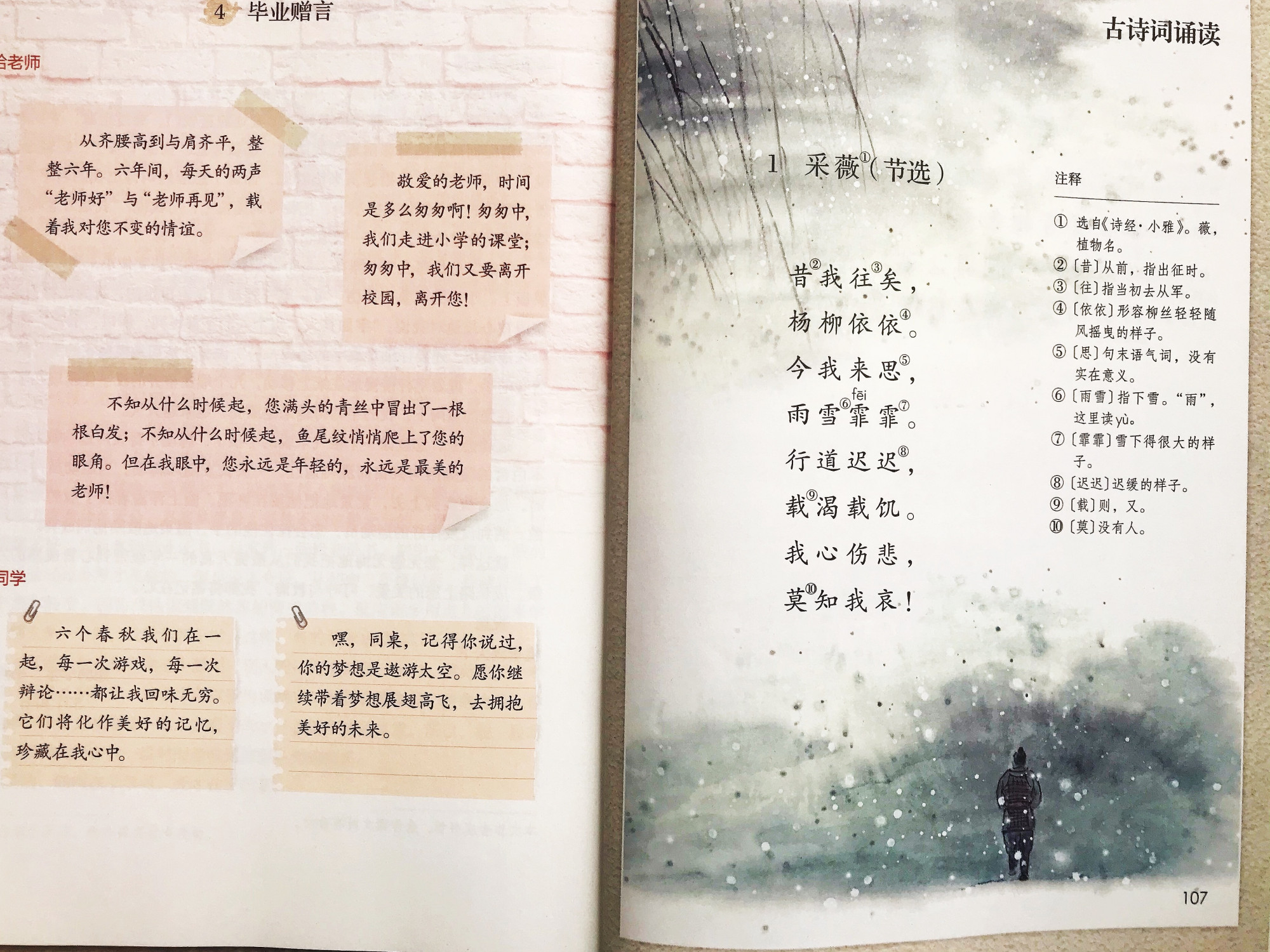 江上渔者的意思及诗意（江上渔者古诗注释和译文）