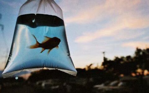 每天日常工作忙的说说（适合发朋友圈正能量短句）