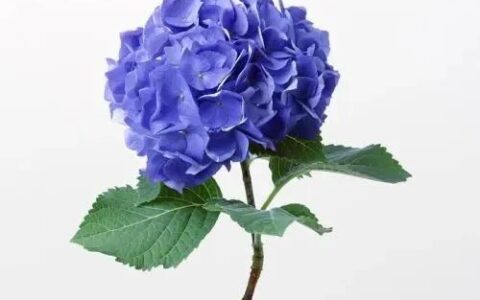 女生适合朗读的美文（适合朗诵三分钟的美文散文）