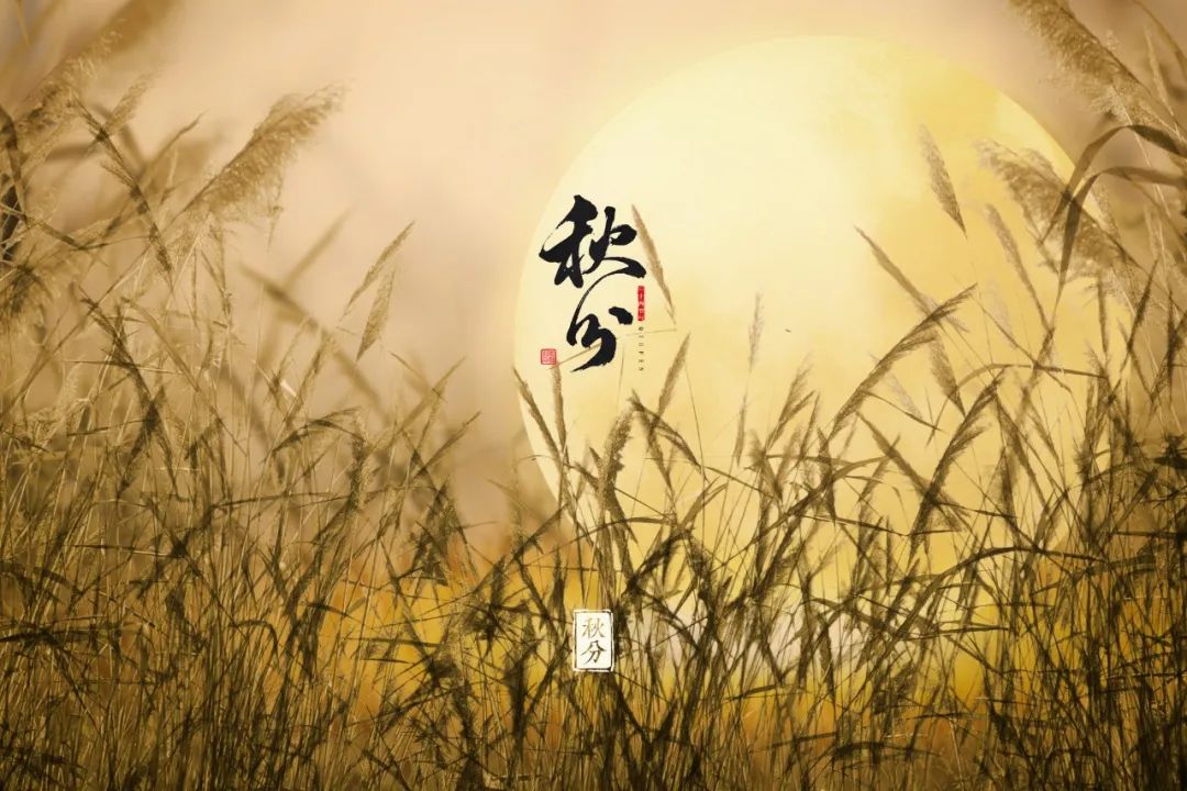 秋分古诗词大全（秋分的优美诗词四句）
