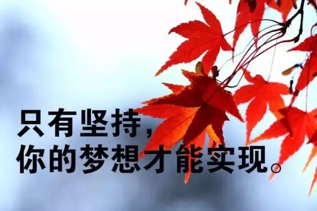 女人正能量的句子经典语句图片（表达心态好格局大的句子）