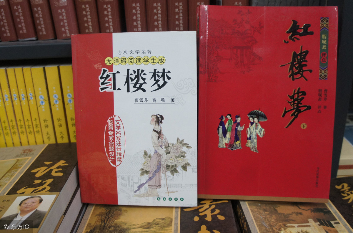 红楼梦简介50字（红楼梦的主要内容简写）