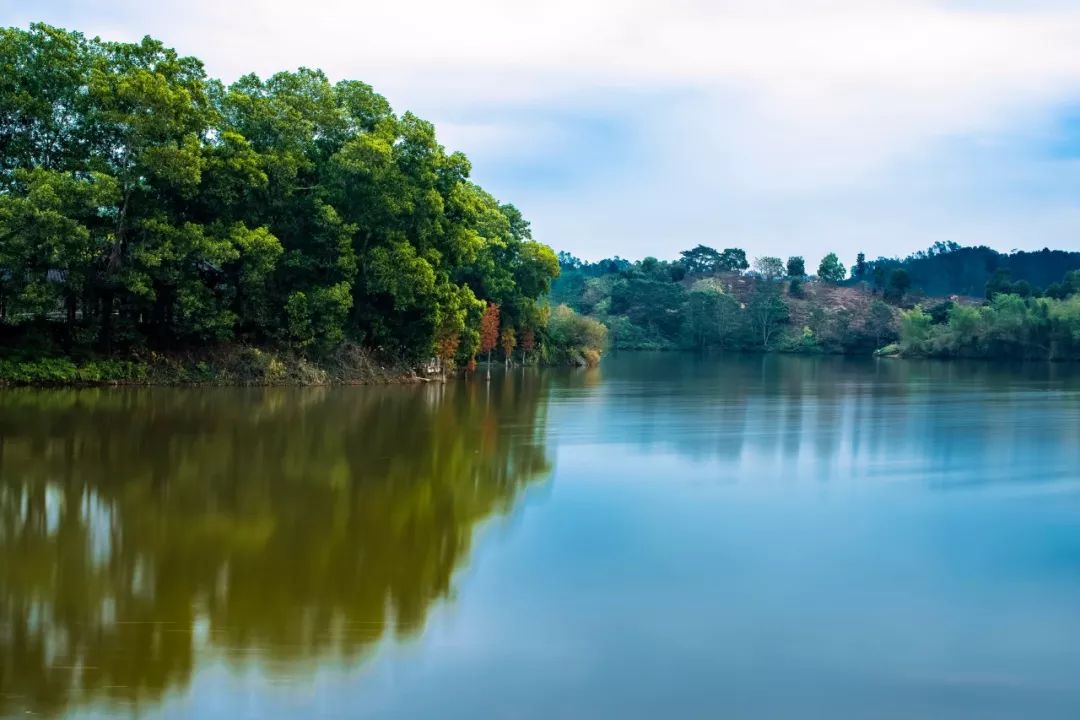苏东坡的诗词全集（苏轼人生豁达的古诗词）