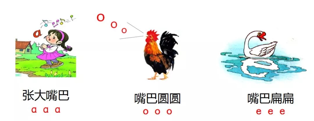 声母的正确书写格式及笔顺（声母表占格正确书写）