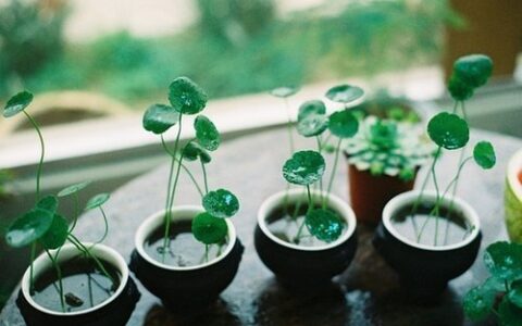 英语写信格式模板（标准的英文书信格式）