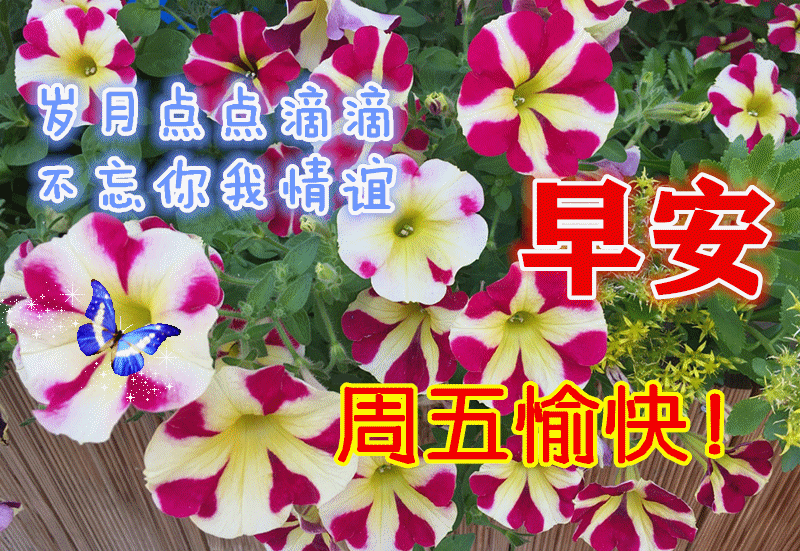 早上好短语大全（早上好祝福语简短句子）