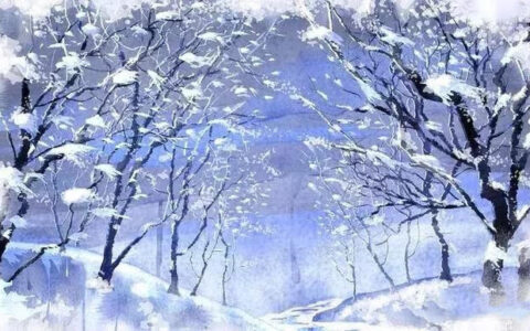 诗经采薇翻译及解析（诗经采薇赏析及诗文含义）