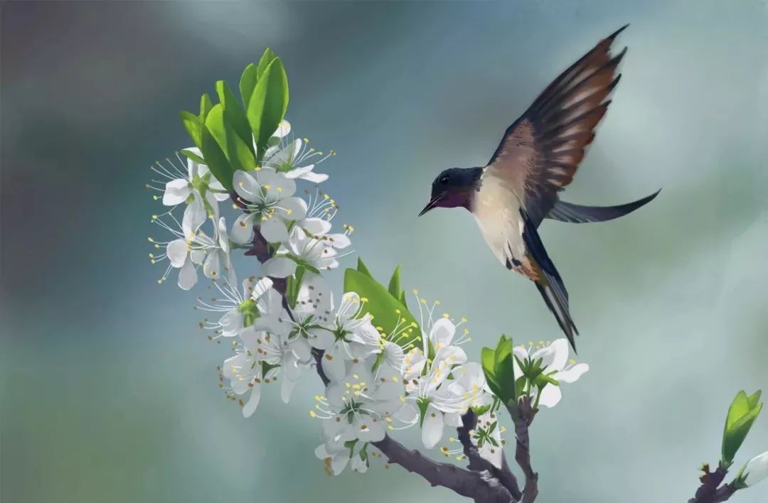 形容樱花盛开的诗句（描写樱花的诗词名句）