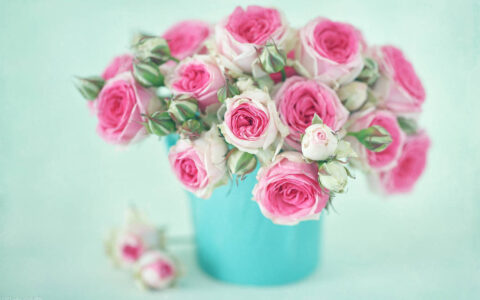 好心情的说说唯美句子（简单快乐心态的唯美句子）