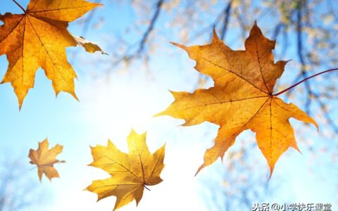 关于景色描写的句子（描写景色优美的句子摘抄）