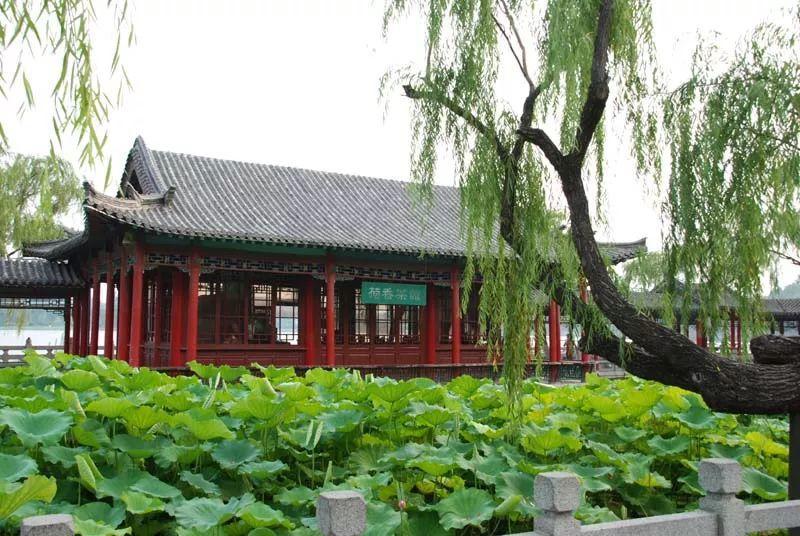 跟花有关的诗句有寓意（花的象征意义和诗句）