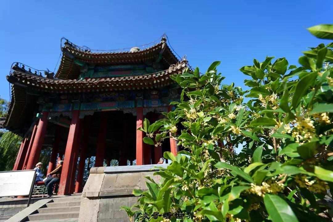 跟花有关的诗句有寓意（花的象征意义和诗句）