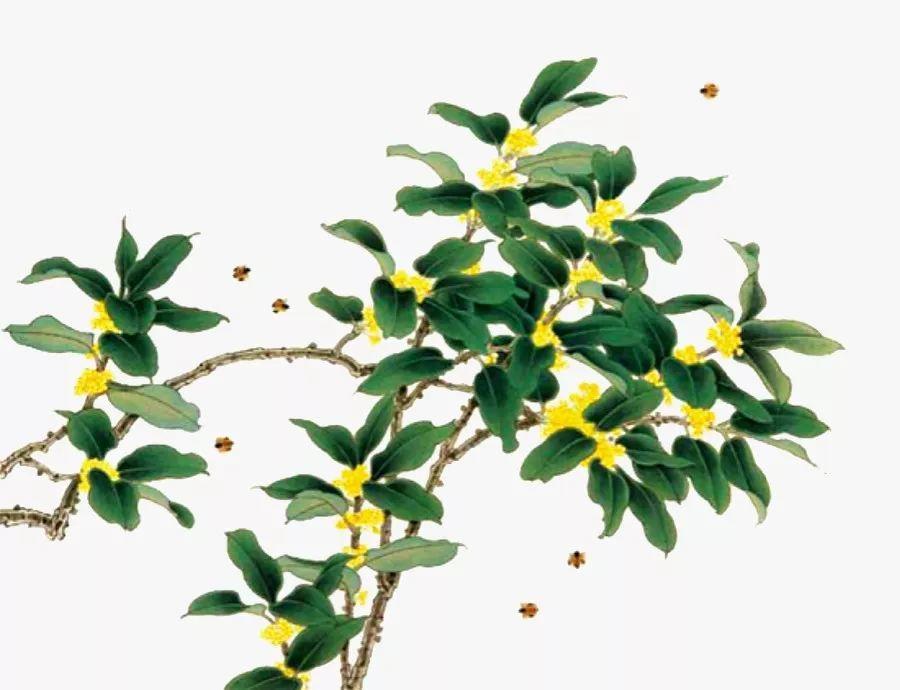 跟花有关的诗句有寓意（花的象征意义和诗句）