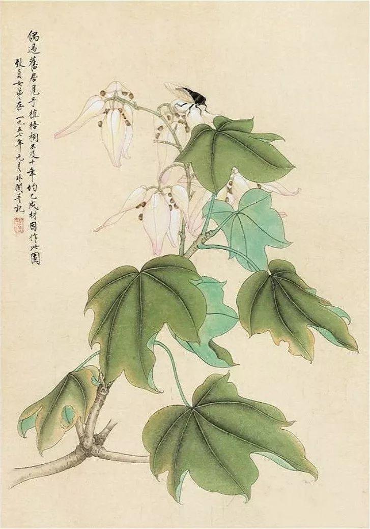 跟花有关的诗句有寓意（花的象征意义和诗句）