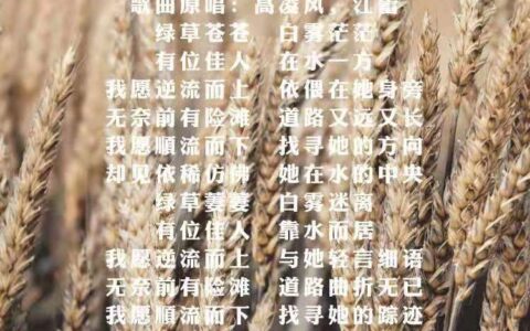 蒹葭拼音版及原文翻译（蒹葭拼音版诗文赏析及释义）