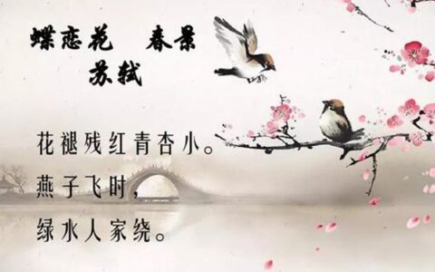 蝶恋花苏轼赏析（苏轼蝶恋花原文及解析）