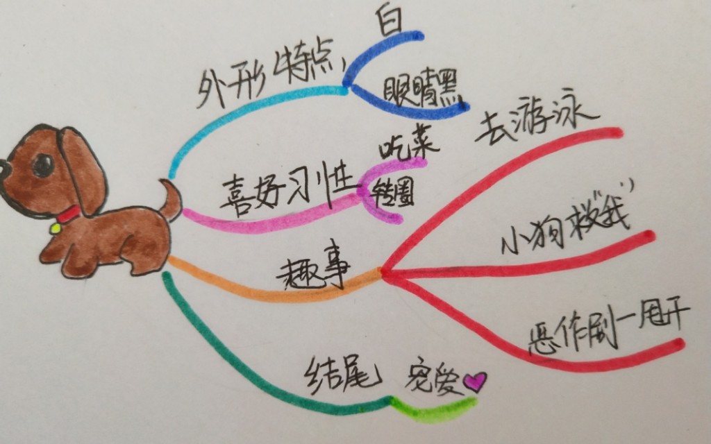 描写小狗的外形特点作文（三年级写狗的优秀作文）