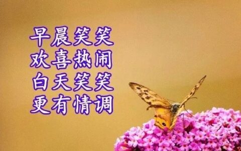 评价一个人的优点语句（高情商夸赞他人的经典美句）