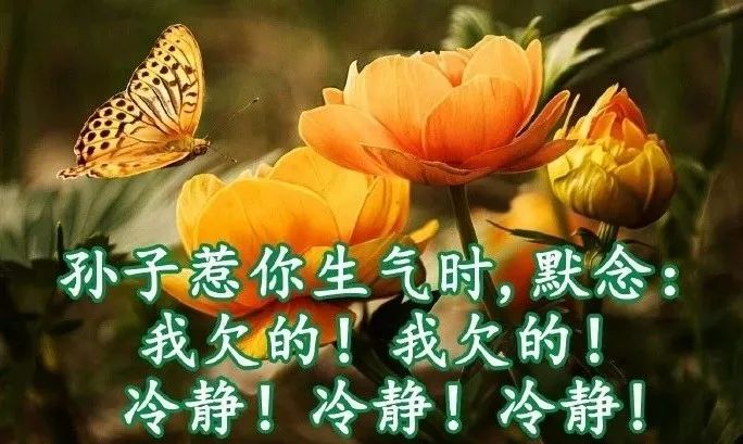 评价一个人的优点语句（高情商夸赞他人的经典美句）