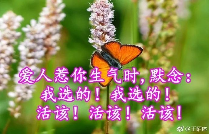 评价一个人的优点语句（高情商夸赞他人的经典美句）