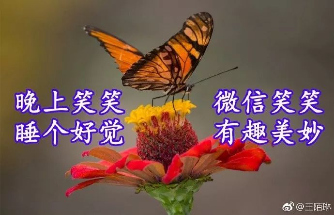 评价一个人的优点语句（高情商夸赞他人的经典美句）
