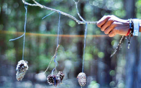 姐妹闺蜜情深的唯美短句（抖音最火闺蜜句子）