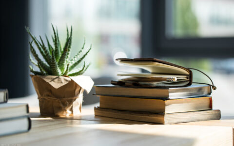 归来仍是少年类似句子有哪些（形容少年未来可期的诗句）