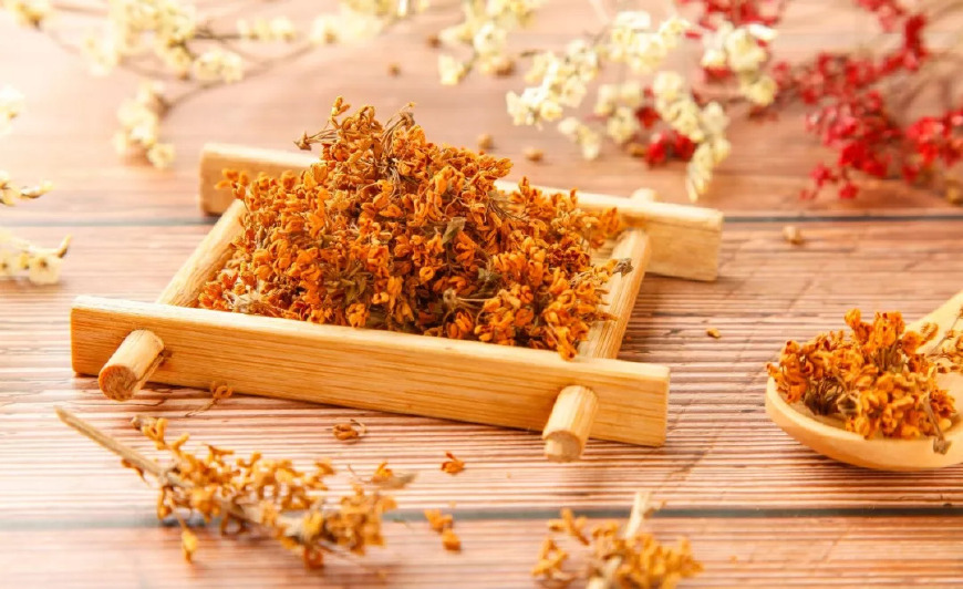 桂花诗句经典名句（关于桂花的诗词名句）
