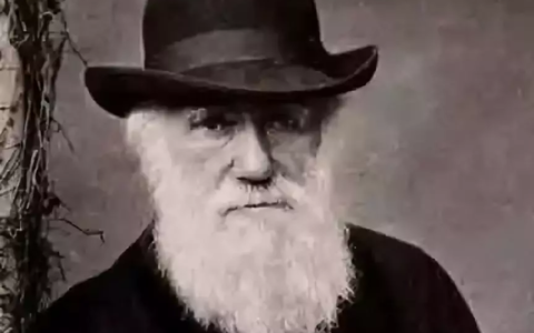 世界最美100首诗歌大全（现代诗歌大全）