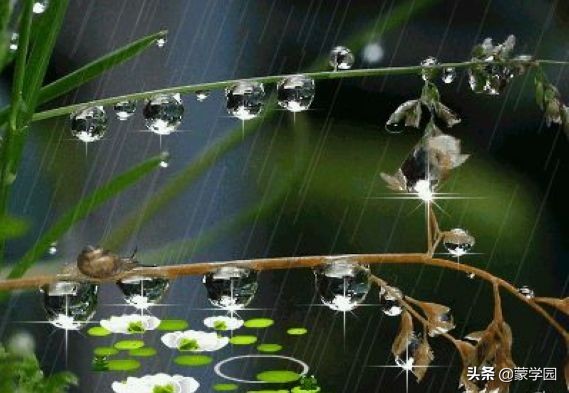 描写春天的四字词语有哪些（关于春天的四字词语分类）