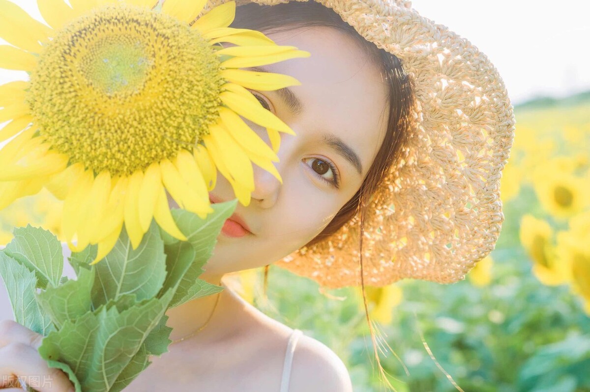生活阳光温暖的句子（心有阳光的25条唯美句子）