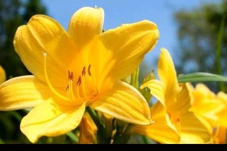 人生如梦的感慨句子诗词（人生就像一场梦的感言分享）