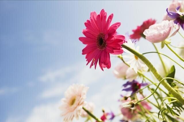 人生如梦的感慨句子诗词（人生就像一场梦的感言分享）