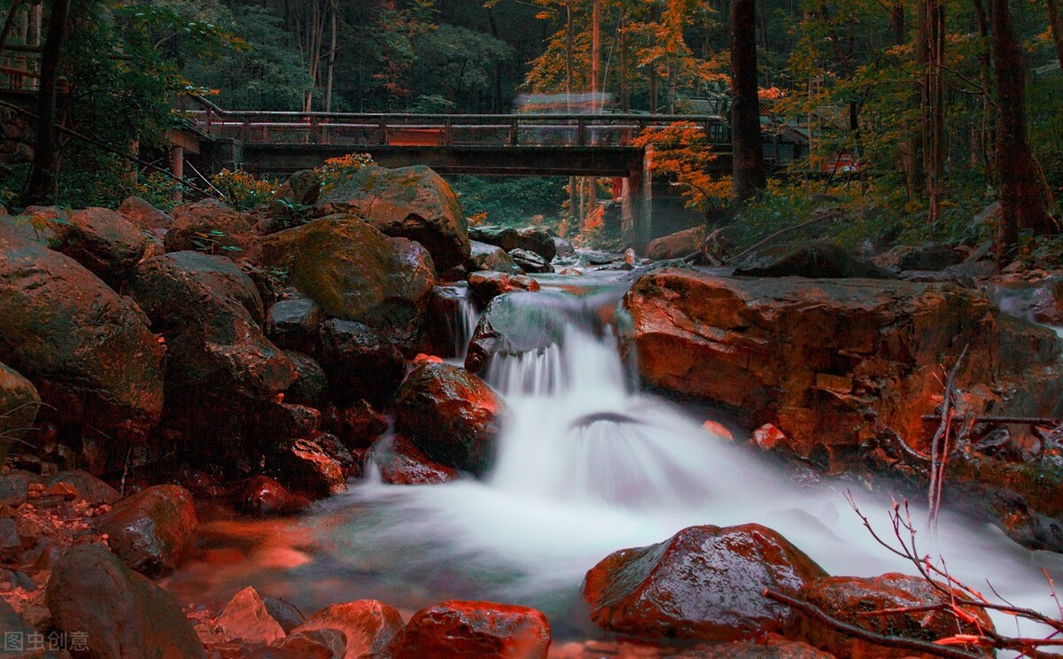 答司马谏议书原文及翻译（答司马谏议书赏析）