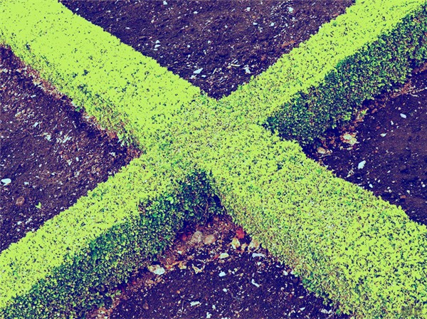 致拼搏路上的自己文案（工作心态正能量激励语）