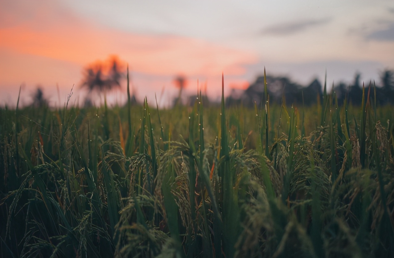 形容晚霞的唯美句子说说(关于日落的温柔文案短句)