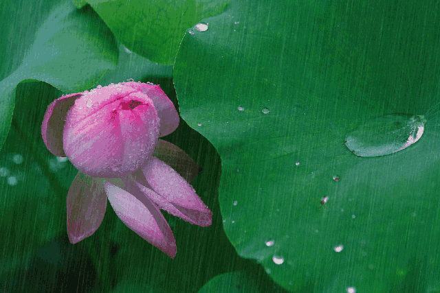 夏天雨的诗句美好诗句（描写夏雨最美诗词）