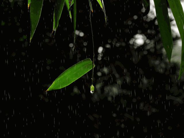 夏天雨的诗句美好诗句（描写夏雨最美诗词）