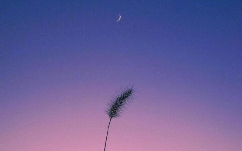 经典人生感悟句子（正能量人生格言）