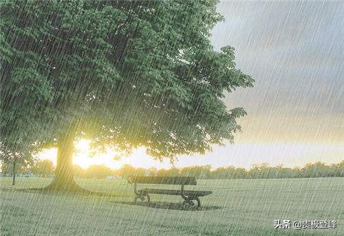 雨开头的诗句有哪些（关于雨的唯美句子）