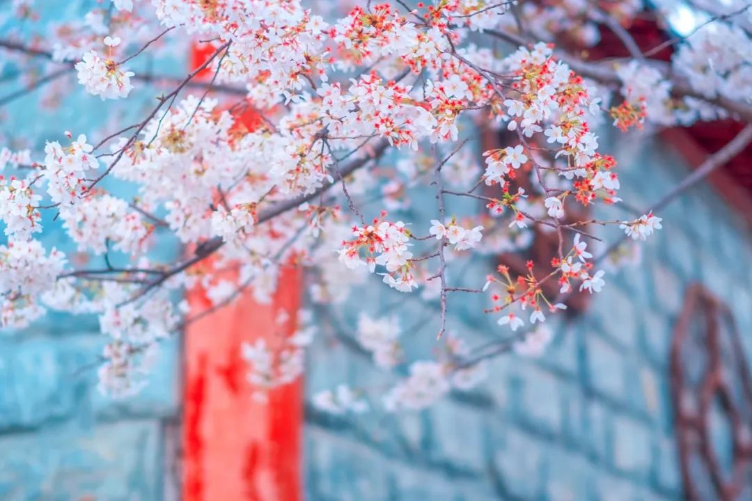 最美七言绝句八句（唯美古诗七言绝句）