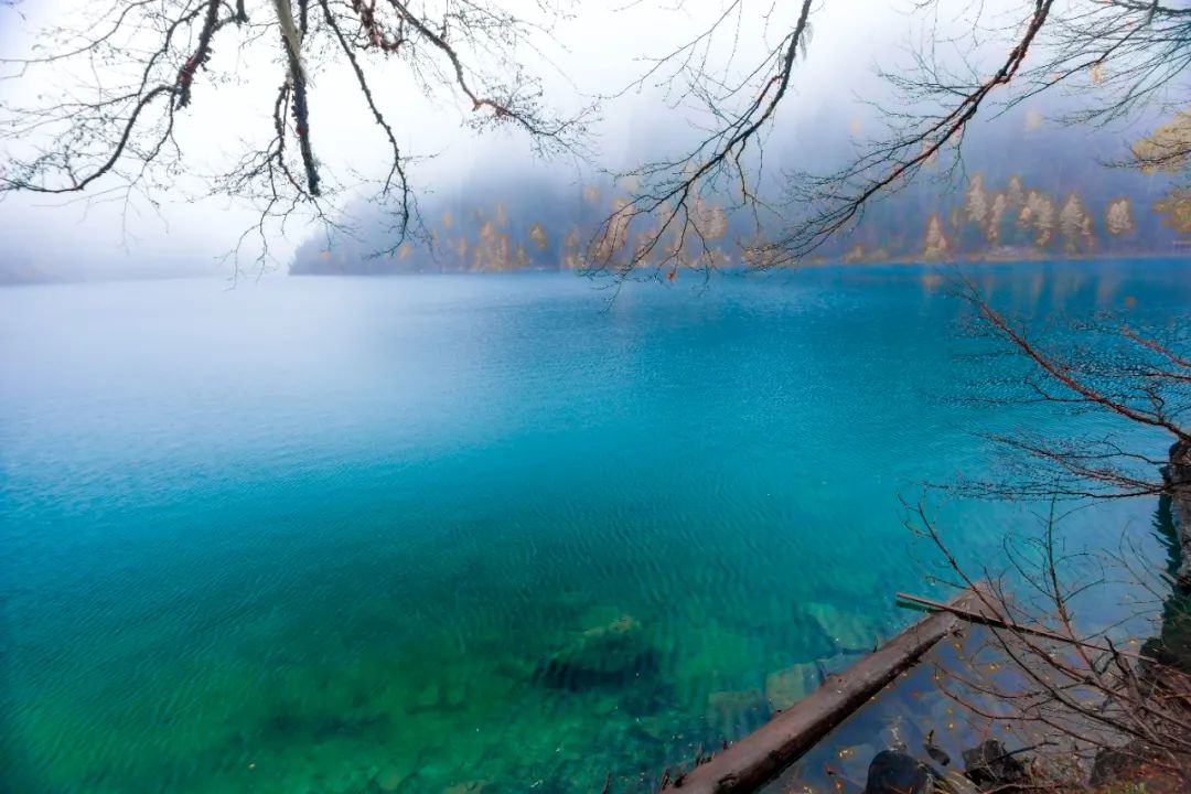 关于雨的唯美句子（描写雨的优美句子摘抄）