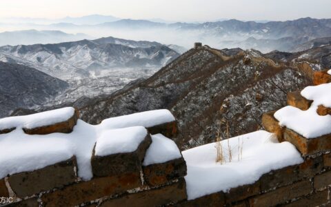 春雪古诗赏析诵读（春雪原文翻译及赏析）