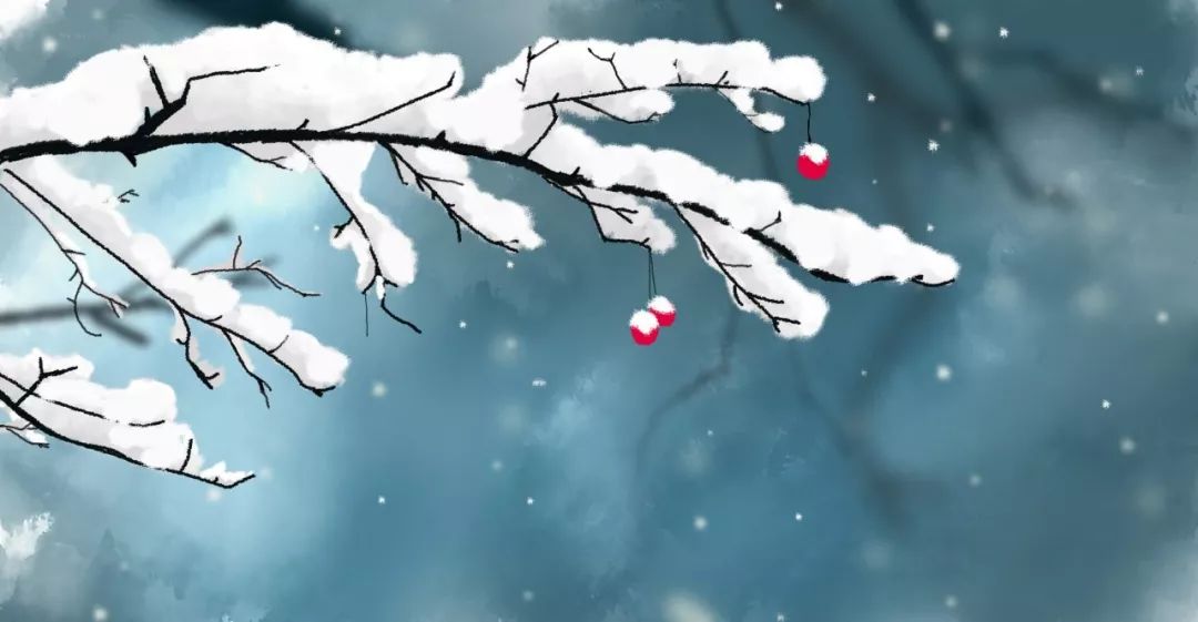 描写雪景的诗句古诗大全（关于雪的诗句欣赏）