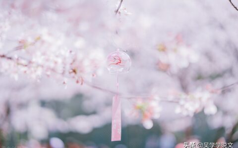 赞美春天的诗句（赞美春天的句子短句）