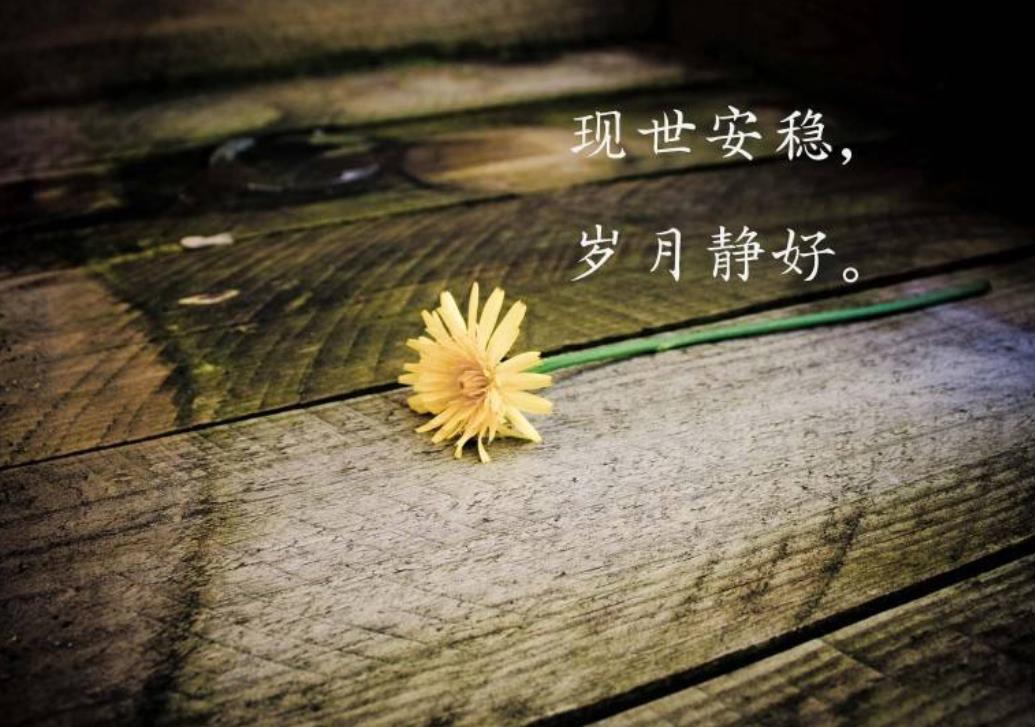 小学生优美短句15字以内（适合抄在摘抄本上的句子）