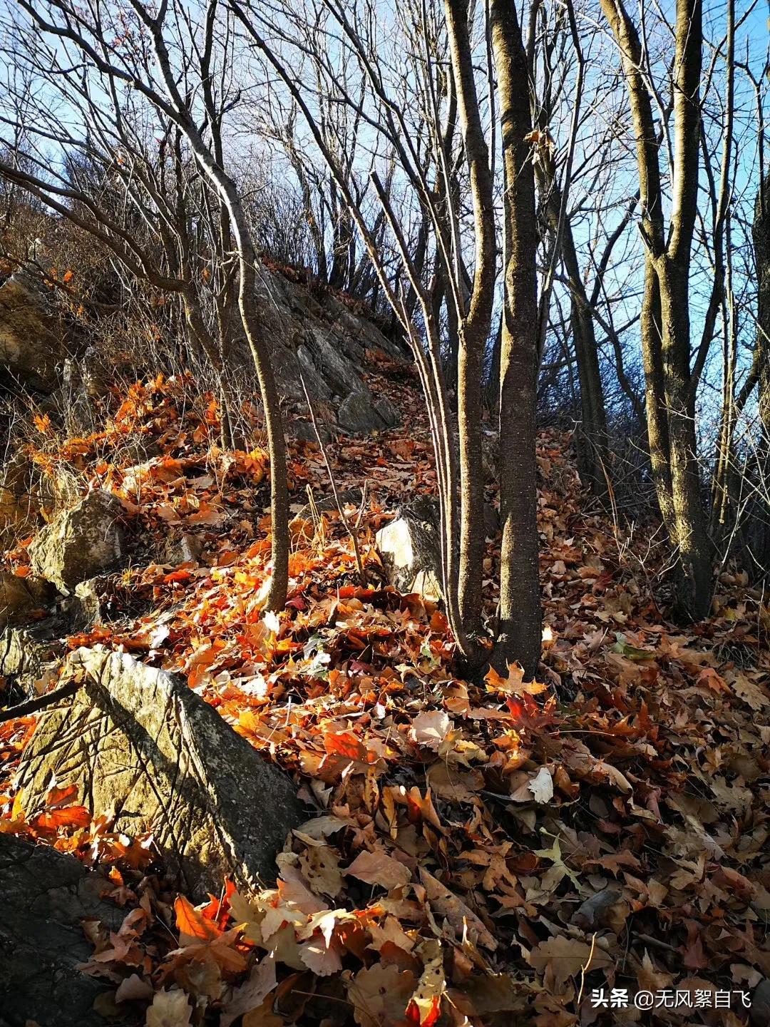 时间慢点走的唯美句子（慢时光静生活唯美句子）