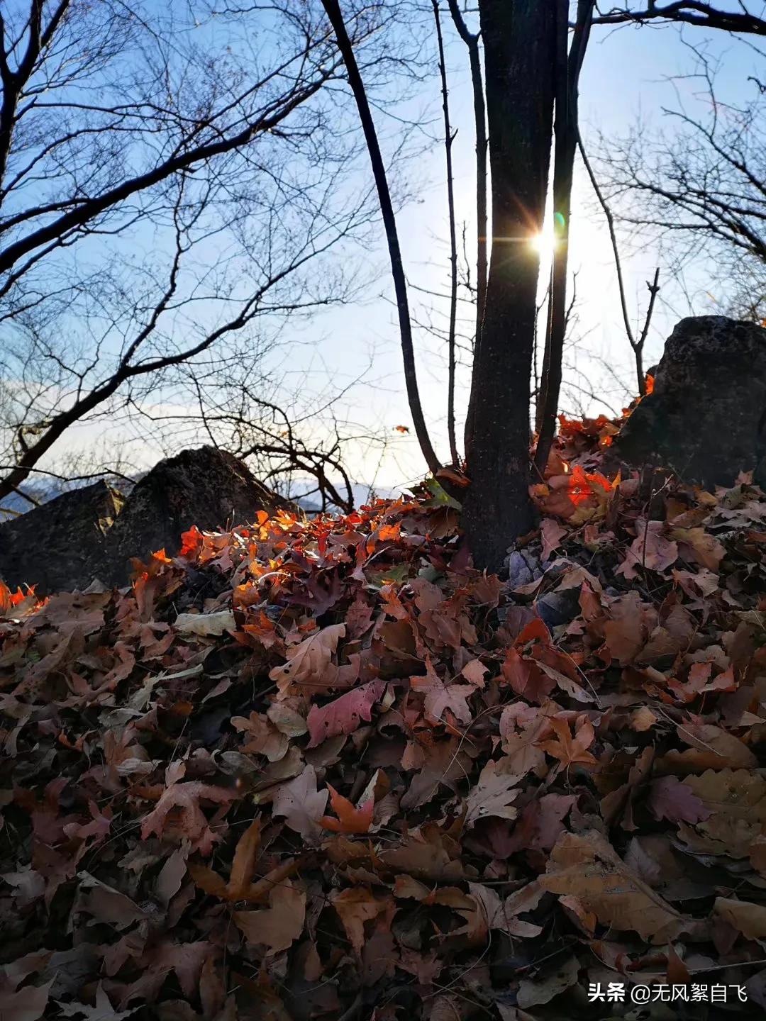 时间慢点走的唯美句子（慢时光静生活唯美句子）